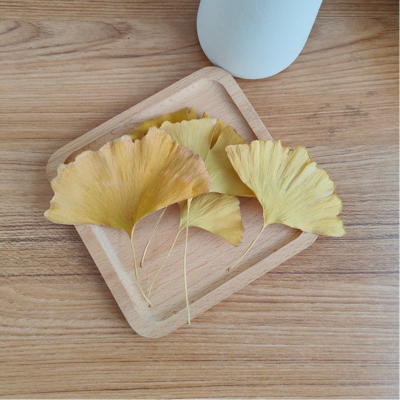 ใบแปะก๊วยแห้งธรรมชาติ สมุนไพรธ - Soap Making Diy บทวิจารณ์และราคา
